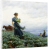 The Cabbage Field by Charles Courtney Curran