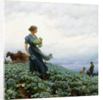 The Cabbage Field by Charles Courtney Curran