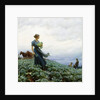 The Cabbage Field by Charles Courtney Curran