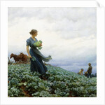 The Cabbage Field by Charles Courtney Curran