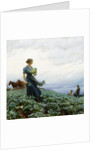 The Cabbage Field by Charles Courtney Curran