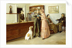 The Nest Egg by Abbott Fuller Graves