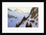 The Trail Over the Pass by Henry Francois Farny