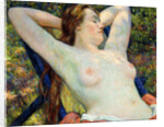 The Model's Siesta by Theo van Rysselberghe