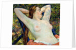 The Model's Siesta by Theo van Rysselberghe
