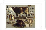 Studies of Cows, Hens, Roosters, a Goose and a Sheep by Rosa Bonheur