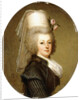 Portrait of Queen Marie Antoinette by Adolf Ulrich Wertmuller