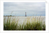 Morris Island Lighthouse - Folly Beach, SC by Anonymous
