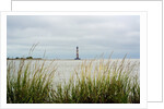 Morris Island Lighthouse - Folly Beach, SC by Anonymous