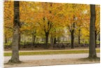 Parc de Bruxelles (Brussels Park) in autumn (fall) by Anonymous