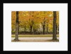 Parc de Bruxelles (Brussels Park) in autumn (fall) by Anonymous