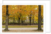 Parc de Bruxelles (Brussels Park) in autumn (fall) by Anonymous