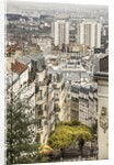 The northern part of the town from Montmartre hill by Anonymous