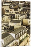 Typical roofs from Galeries Lafayette roof terrace by Anonymous