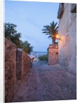 Balearic Islands - view of the old town by Anonymous