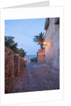 Balearic Islands - view of the old town by Anonymous