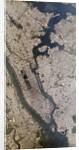 Satellite view of New York City by Anonymous