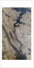 Satellite view of New York City by Anonymous