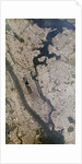 Satellite view of New York City by Anonymous