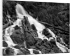 Clearwater Falls by Anonymous