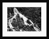 Clearwater Falls by Anonymous