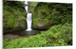 Multnomah falls, in Columbia River Gorge National Scenic Area, Oregon by Anonymous