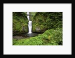 Multnomah falls, in Columbia River Gorge National Scenic Area, Oregon by Anonymous