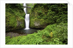 Multnomah falls, in Columbia River Gorge National Scenic Area, Oregon by Anonymous