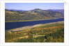Looking East up the Columbia River, Columbia River Gorge National Scenic Area, Oregon by Anonymous