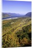 Looking East up the Columbia River, Columbia River Gorge National Scenic Area, Oregon by Anonymous