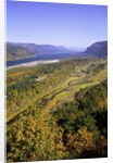 Looking East up the Columbia River, Columbia River Gorge National Scenic Area, Oregon by Anonymous