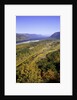 Looking East up the Columbia River, Columbia River Gorge National Scenic Area, Oregon by Anonymous