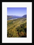 Looking East up the Columbia River, Columbia River Gorge National Scenic Area, Oregon by Anonymous