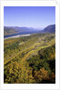 Looking East up the Columbia River, Columbia River Gorge National Scenic Area, Oregon by Anonymous