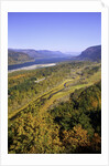 Looking East up the Columbia River, Columbia River Gorge National Scenic Area, Oregon by Anonymous