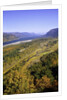 Looking East up the Columbia River, Columbia River Gorge National Scenic Area, Oregon by Anonymous