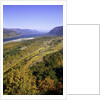 Looking East up the Columbia River, Columbia River Gorge National Scenic Area, Oregon by Anonymous