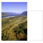 Looking East up the Columbia River, Columbia River Gorge National Scenic Area, Oregon by Anonymous