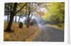 Fall colors in morning fog, Happy Valley, Oregon by Anonymous