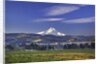 Mt. Hood, Hood River Valley, Columbia River Gorge National Scenic Area, Oregon by Anonymous