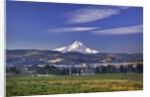 Mt. Hood, Hood River Valley, Columbia River Gorge National Scenic Area, Oregon by Anonymous