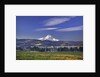 Mt. Hood, Hood River Valley, Columbia River Gorge National Scenic Area, Oregon by Anonymous