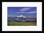 Mt. Hood, Hood River Valley, Columbia River Gorge National Scenic Area, Oregon by Anonymous