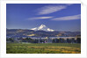 Mt. Hood, Hood River Valley, Columbia River Gorge National Scenic Area, Oregon by Anonymous