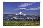 Mt. Hood, Hood River Valley, Columbia River Gorge National Scenic Area, Oregon by Anonymous