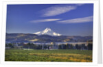 Mt. Hood, Hood River Valley, Columbia River Gorge National Scenic Area, Oregon by Anonymous