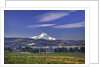 Mt. Hood, Hood River Valley, Columbia River Gorge National Scenic Area, Oregon by Anonymous