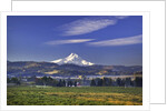 Mt. Hood, Hood River Valley, Columbia River Gorge National Scenic Area, Oregon by Anonymous