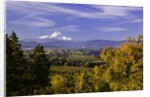 Mt. Hood, Hood River Valley, Columbia River Gorge National Scenic Area, Oregon by Anonymous
