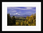 Mt. Hood, Hood River Valley, Columbia River Gorge National Scenic Area, Oregon by Anonymous